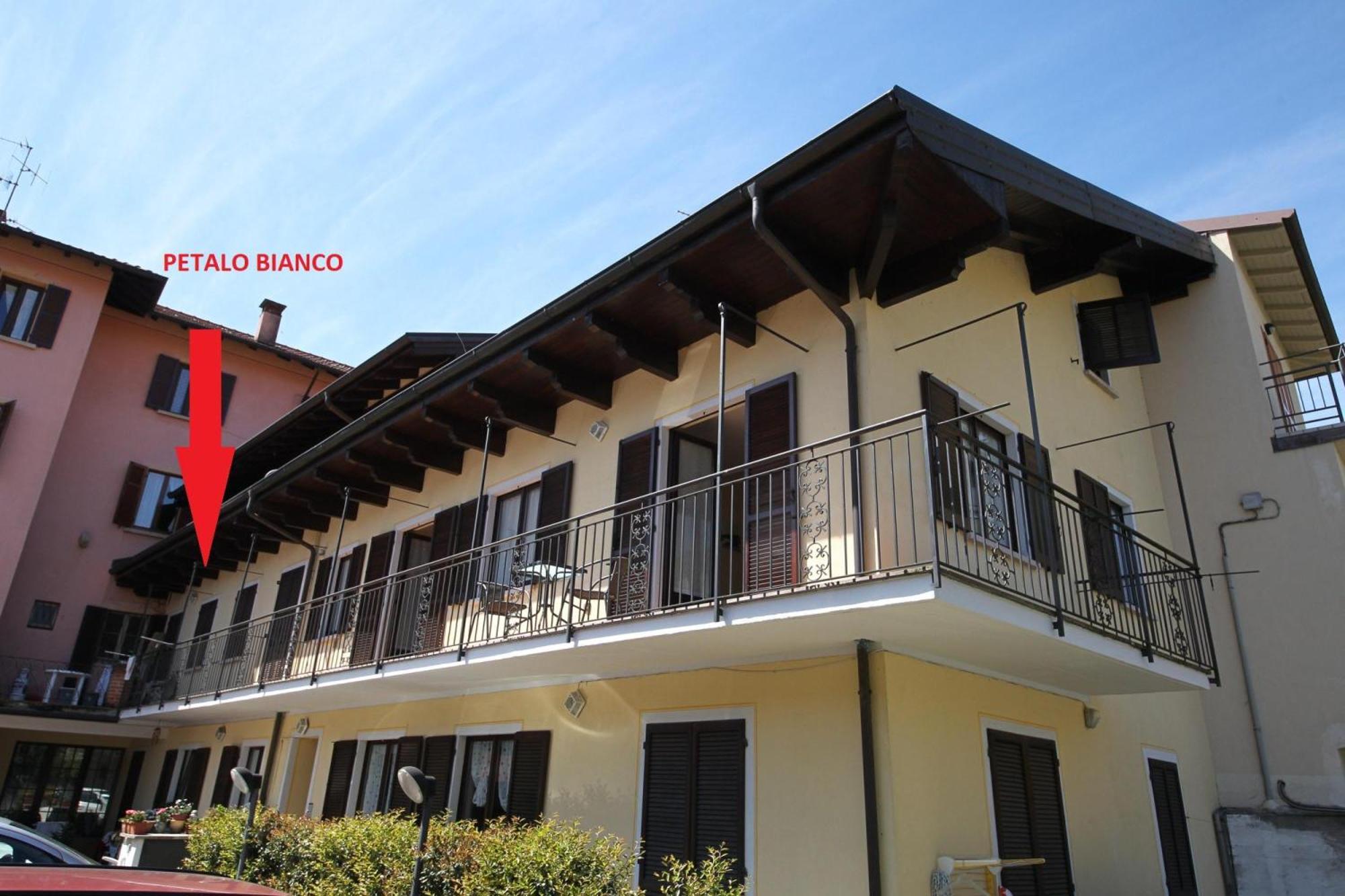 Petalo Bianco 100M From Lake - Happy Rentals Baveno Exteriér fotografie